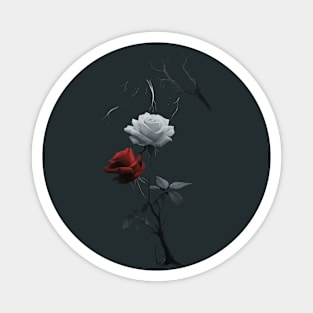 Created Artwork of Two Roses one Red and one White Growing from a Single Dark Stem with Leaves Magnet